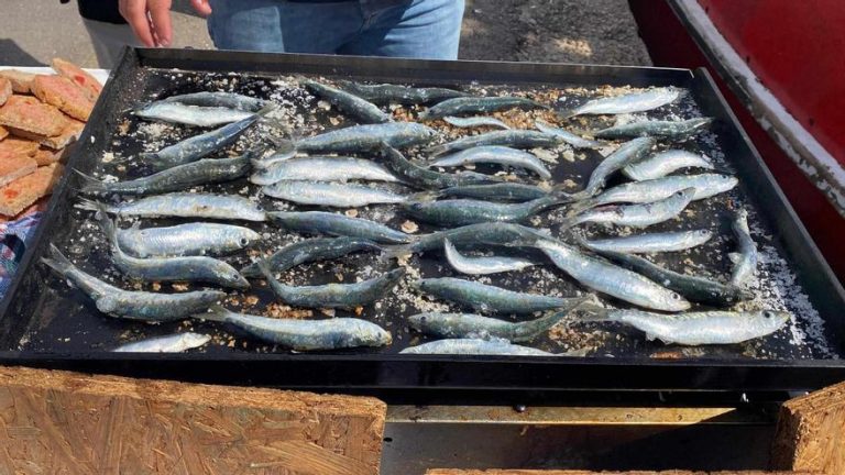 Palma declara de Interés Público Municipal la II Fira de la Sardina en el Moll de Pescadors