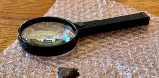 Mallorca incorpora un excepcional «cap de bou» en miniatura a su patrimonio arqueológico Mallorca incorpora un excepcional «cap de bou» en miniatura a su patrimonio arqueológico