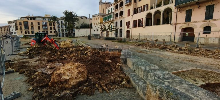 Amics de la Terra rechaza el proyecto de replantación en la plaza Llorenç Villalonga y mantiene acciones legales