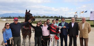 Il Capo Mar gana el Gran Premio Govern de les Illes Balears en Son Pardo Il Capo Mar gana el Gran Premio Govern de les Illes Balears en Son Pardo