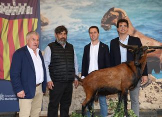 La Feria de la Caza y del Mundo Rural abre el fin de semana en Son Pardo con exhibiciones, gastronomía y actividades familiares La Feria de la Caza y del Mundo Rural abre el fin de semana en Son Pardo con exhibiciones, gastronomía y actividades familiares