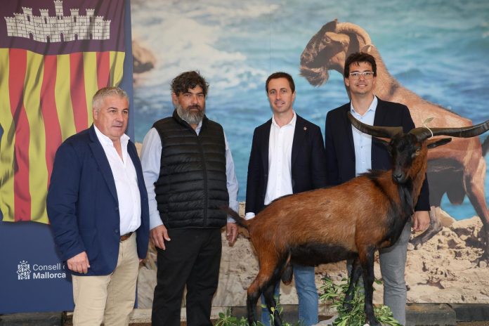 La Feria de la Caza y del Mundo Rural abre el fin de semana en Son Pardo con exhibiciones, gastronomía y actividades familiares