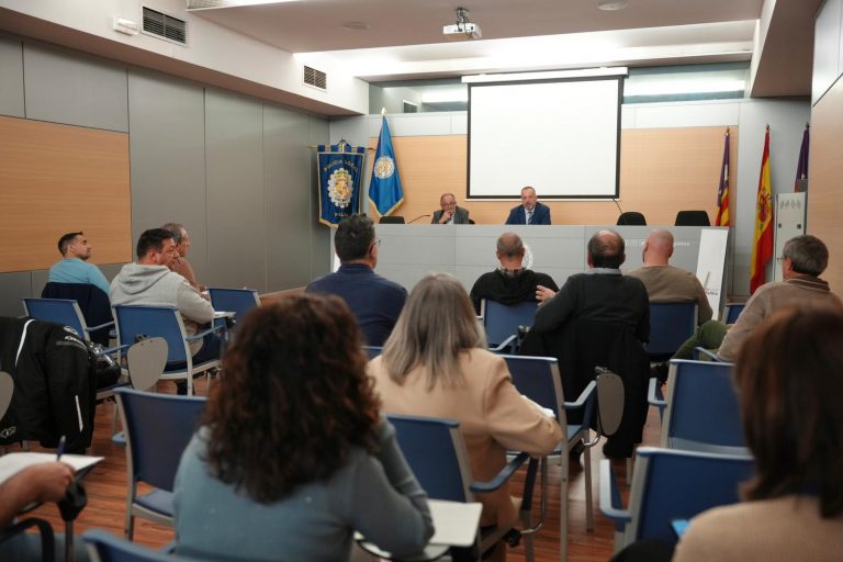 Palma aprueba los horarios del taxi para las temporadas altas de 2026 y 2027