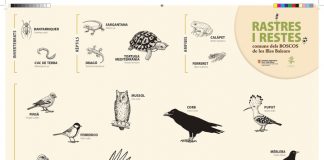 Nueva guía para descubrir los rastros de la fauna en los bosques de Baleares Nueva guía para descubrir los rastros de la fauna en los bosques de Baleares