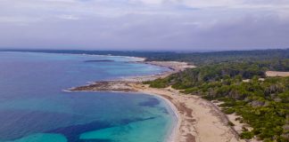 El GOB alerta de una rebaja de protección en Es Trenc-Salobrar mediante una enmienda del Govern El GOB alerta de una rebaja de protección en Es Trenc-Salobrar mediante una enmienda del Govern