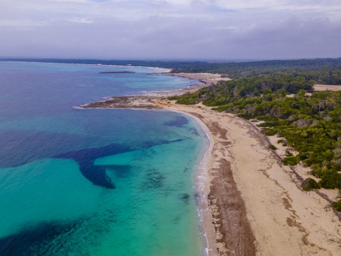 El GOB alerta de una rebaja de protección en Es Trenc-Salobrar mediante una enmienda del Govern