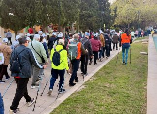 El programa municipal de Nordic Walking supera los 800 participantes y amplía sus rutas en Palma El programa municipal de Nordic Walking supera los 800 participantes y amplía sus rutas en Palma