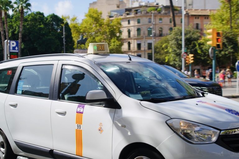 Palma suma 117 nuevos taxistas tras aprobar el último examen municipal