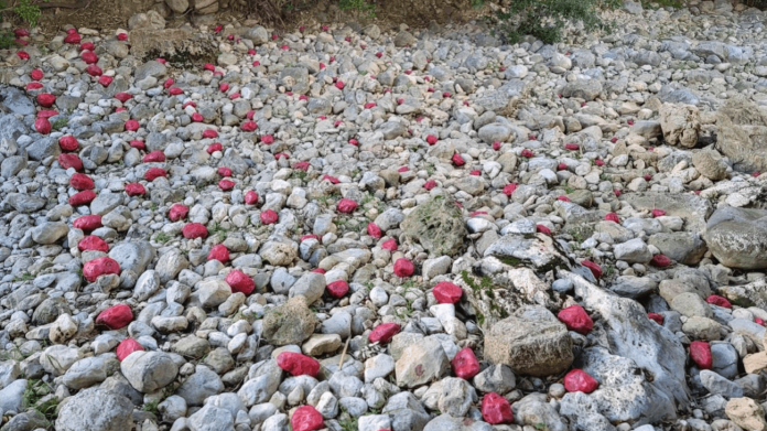 Un estudio de la UIB revela que el transporte de sedimentos en Mallorca se concentra en episodios extremos como la tormenta Juliette