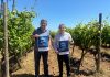El Govern activa de nuevo los «Bonos de Producto Local» con ayudas de hasta 100 euros por persona El Govern activa de nuevo los «Bonos de Producto Local» con ayudas de hasta 100 euros por persona