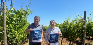 El Govern activa de nuevo los «Bonos de Producto Local» con ayudas de hasta 100 euros por persona El Govern activa de nuevo los «Bonos de Producto Local» con ayudas de hasta 100 euros por persona