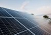 El Govern fija nuevos criterios ambientales para proyectos fotovoltaicos y sistemas de almacenamiento energético El Govern fija nuevos criterios ambientales para proyectos fotovoltaicos y sistemas de almacenamiento energético