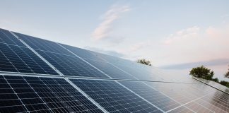 El Govern fija nuevos criterios ambientales para proyectos fotovoltaicos y sistemas de almacenamiento energético El Govern fija nuevos criterios ambientales para proyectos fotovoltaicos y sistemas de almacenamiento energético
