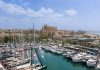 El Palma International Boat Show cierra su 42ª edición con récord de visitantes y foco en la sostenibilidad El Palma International Boat Show cierra su 42ª edición con récord de visitantes y foco en la sostenibilidad