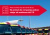 Los animales de compañía podrán viajar en los autobuses del TIB a partir del 7 de junio Los animales de compañía podrán viajar en los autobuses del TIB a partir del 7 de junio