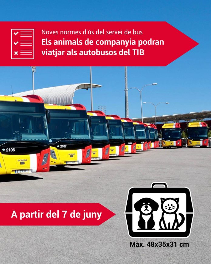 Los animales de compañía podrán viajar en los autobuses del TIB a partir del 7 de junio