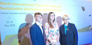 El proyecto Bee-etal Lab de la UIB recibe en Eslovenia el prestigioso premio internacional “Golden Bee” El proyecto Bee-etal Lab de la UIB recibe en Eslovenia el prestigioso premio internacional “Golden Bee”