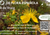 La Biomaratón de Flora Española regresa a Baleares con rutas botánicas en Mallorca, Menorca e Ibiza La Biomaratón de Flora Española regresa a Baleares con rutas botánicas en Mallorca, Menorca e Ibiza