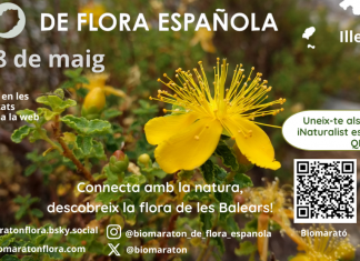 La Biomaratón de Flora Española regresa a Baleares con rutas botánicas en Mallorca, Menorca e Ibiza La Biomaratón de Flora Española regresa a Baleares con rutas botánicas en Mallorca, Menorca e Ibiza