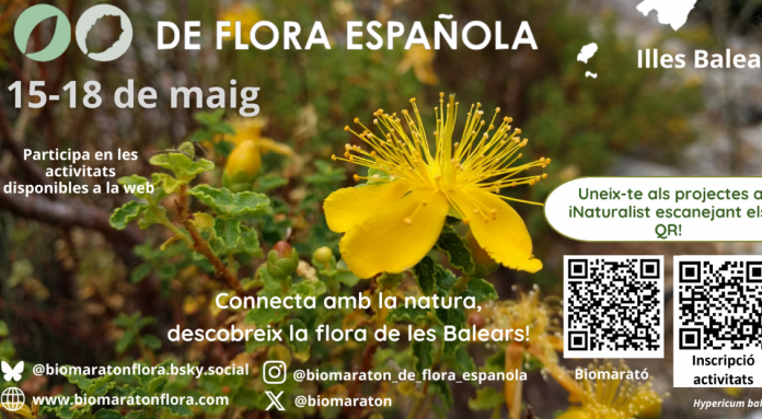 La Biomaratón de Flora Española regresa a Baleares con rutas botánicas en Mallorca, Menorca e Ibiza