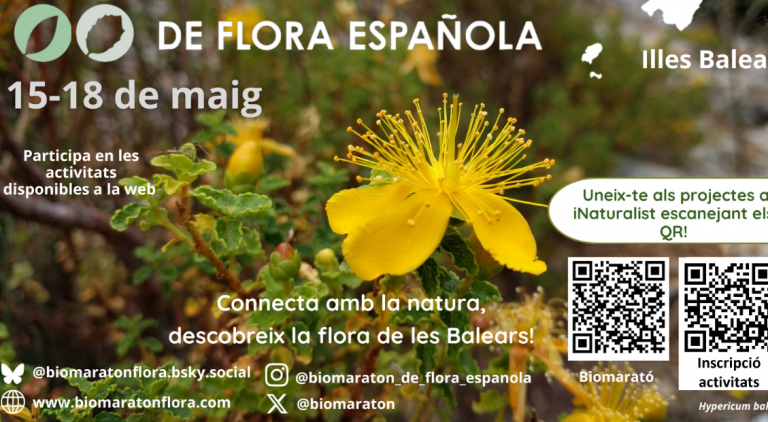 La Biomaratón de Flora Española regresa a Baleares con rutas botánicas en Mallorca, Menorca e Ibiza