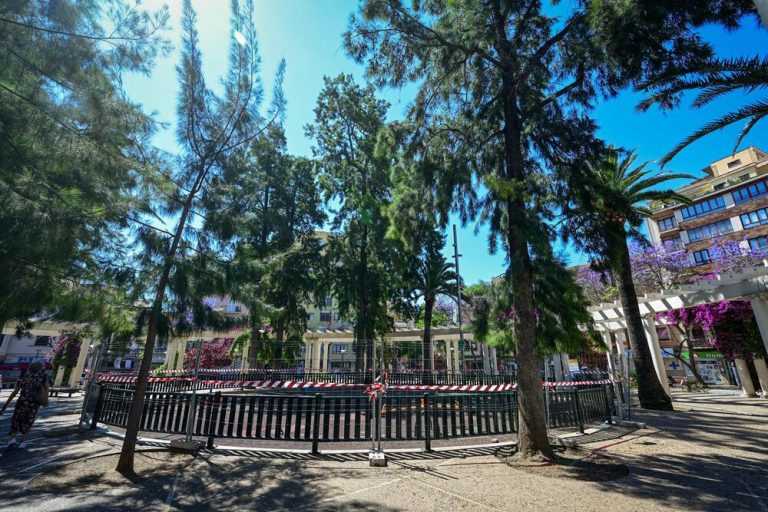 Palma renovará la zona infantil de la plaza Francesc Garcia i Orell con nuevos juegos accesibles e inclusivos