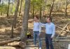 Plan de limpieza forestal para prevenir incendios en la Serra de Tramuntana Plan de limpieza forestal para prevenir incendios en la Serra de Tramuntana