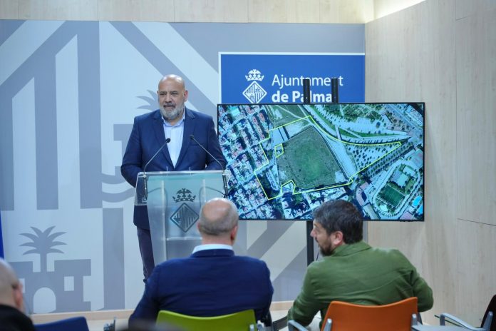 Palma proyecta un nuevo pabellón deportivo en el Lluís Sitjar con más de 2.000 plazas y 650 aparcamientos