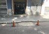 Vecinos de Pere Garau denuncian la pérdida de arbolado urbano y reclaman más zonas de sombra en el barrio Vecinos de Pere Garau denuncian la pérdida de arbolado urbano y reclaman más zonas de sombra en el barrio