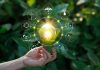 El Govern impulsa nuevos proyectos de agricultura regenerativa para captar CO₂ en Baleares El Govern impulsa nuevos proyectos de agricultura regenerativa para captar CO₂ en Baleares