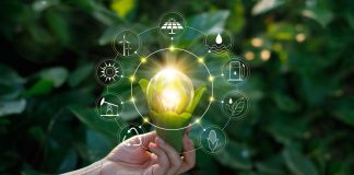 El Govern impulsa nuevos proyectos de agricultura regenerativa para captar CO₂ en Baleares El Govern impulsa nuevos proyectos de agricultura regenerativa para captar CO₂ en Baleares