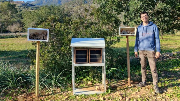 Un doctorando de la UIB gana el concurso nacional #HiloTesis por su investigación sobre la polinización del almendro