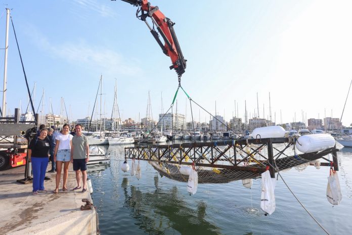 Finaliza la extracción del pecio de Ses Fontanelles tras cuatro meses de trabajos arqueológicos
