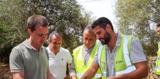 Avanza en su plan para reducir el riesgo de incendios en la Serra de Tramuntana Avanza en su plan para reducir el riesgo de incendios en la Serra de Tramuntana
