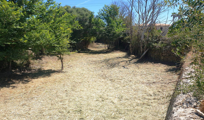 El Govern realiza trabajos de mantenimiento en más de 6,7 kilómetros de torrentes de Mallorca durante junio El Govern realiza trabajos de mantenimiento en más de 6,7 kilómetros de torrentes de Mallorca durante junio