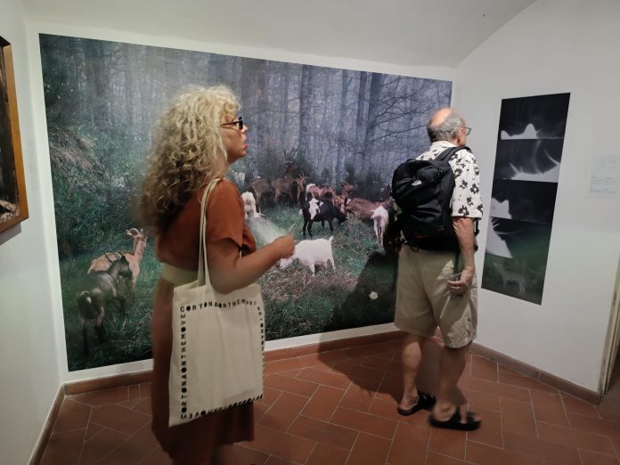 El IEB lleva la fotografía balear al festival internacional Cortona On The Move con una obra de Yago Soria