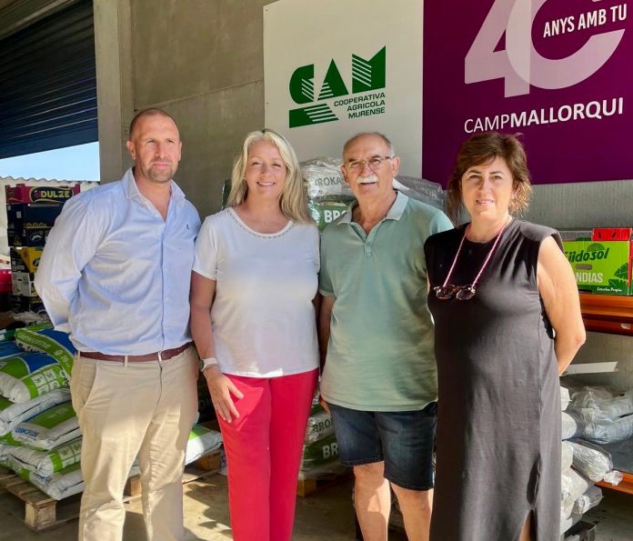 El Consell financia 23 proyectos de responsabilidad social en pymes, autónomos y entidades