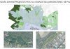 Palma da el primer paso para crear un Jardín Botánico con sedes en Bellver y el Parc de ses Vies Palma da el primer paso para crear un Jardín Botánico con sedes en Bellver y el Parc de ses Vies