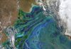 Un estudio del IMEDEA revela un aumento de las olas de calor marinas en una de las regiones oceánicas más productivas del planeta Un estudio del IMEDEA revela un aumento de las olas de calor marinas en una de las regiones oceánicas más productivas del planeta