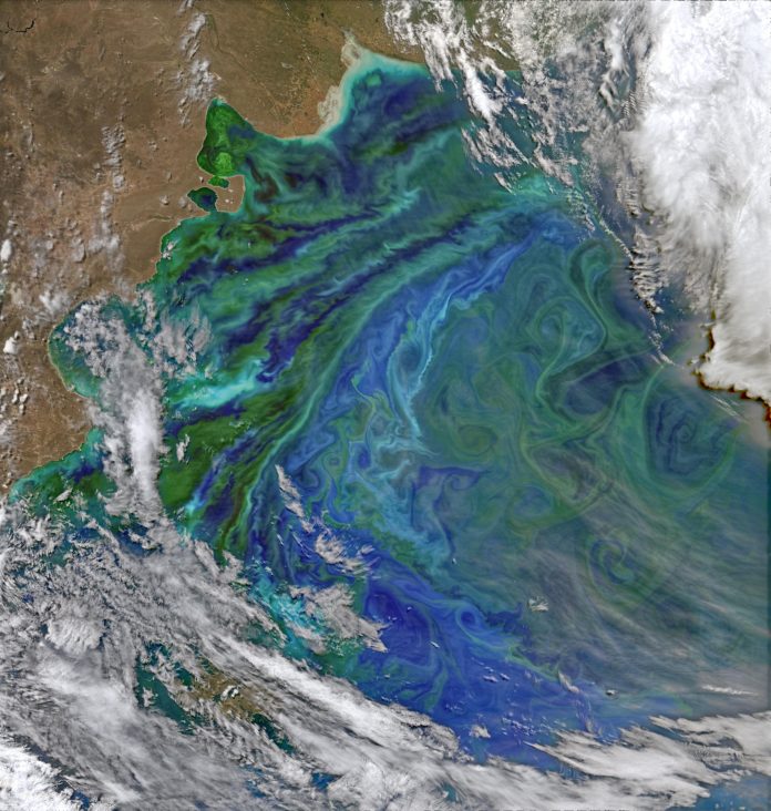 Un estudio del IMEDEA revela un aumento de las olas de calor marinas en una de las regiones oceánicas más productivas del planeta