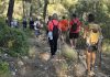 El IME programa siete nuevas jornadas de Nordic Walking durante el mes de julio El IME programa siete nuevas jornadas de Nordic Walking durante el mes de julio