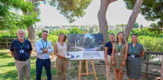 El Cementerio de Palma recibe un premio nacional por el proyecto del Bosque de la Vida El Cementerio de Palma recibe un premio nacional por el proyecto del Bosque de la Vida