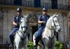 La Unidad Montada de la Policía Local de Palma incorpora dos nuevos caballos de pura raza española La Unidad Montada de la Policía Local de Palma incorpora dos nuevos caballos de pura raza española