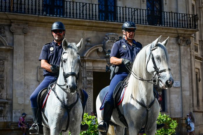 La Unidad Montada de la Policía Local de Palma incorpora dos nuevos caballos de pura raza española