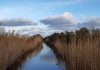 El Parque Natural de s’Albufera de Mallorca cerrará del 19 al 24 de agosto por obras de mejora El Parque Natural de s’Albufera de Mallorca cerrará del 19 al 24 de agosto por obras de mejora