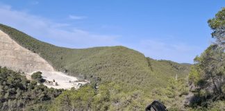 134 hectáreas forestales para reforzar la prevención de incendios en Baleares 134 hectáreas forestales para reforzar la prevención de incendios en Baleares