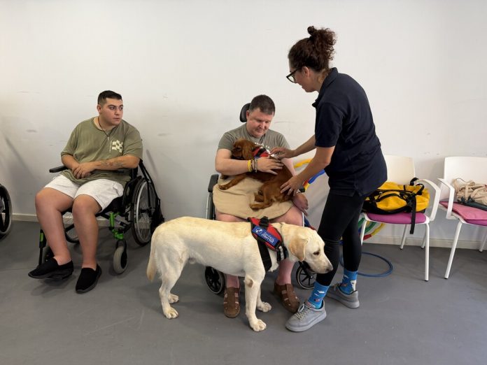 Más de 450 usuarios de las residencias de Dependencia se benefician de la terapia asistida con animales