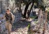 El Mando Operativo Terrestre desplegará una sección militar en Mallorca para realizar labores de vigilancia y disuasión