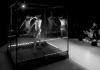 El Projecte Gàbia del Teatre Principal d’Inca, seleccionado para participar en la Prague Quadrennial 2027 El Projecte Gàbia del Teatre Principal d’Inca, seleccionado para participar en la Prague Quadrennial 2027