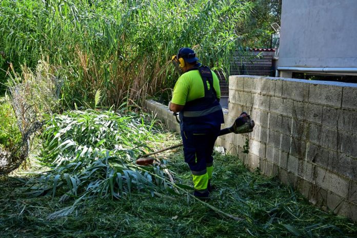 Palma limpia los tramos urbanos de sus torrentes ante posibles episodios de lluvias intensas